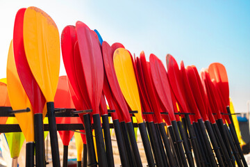 Many colorful paddles for rent by tourists on the beach during summer season. Rent of equipment for...