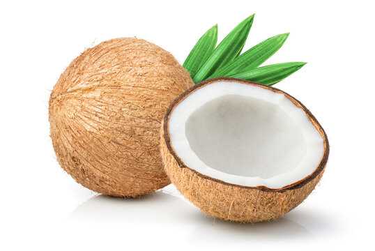 coconut on a white