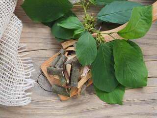 Leaves, flowers and bark of the buckthorn tree in a wooden spoon with a napkin on a wooden table....