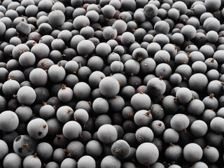 Background of frozen black currant berries. Seasonal fruits of the garden plant ribes nigrum for long-term storage