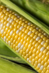 Raw Yellow Organic Corn on the Cob