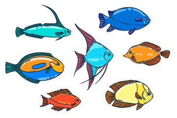 Bright fish hand drawn illustration