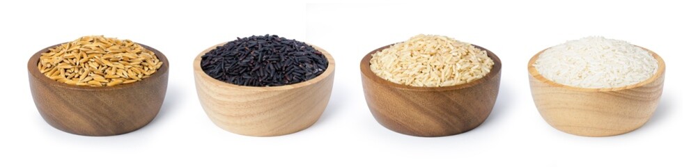 Various type and color of rice ; paddy rice, riceberry, brown coarse rice and white thai jasmine rice in wooden bowl isolated on white background. Healthy diet concept.