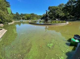 Hurricane Ida floods in Central Park. The Lake overflowed to flood the plaza around Bethesda...