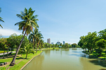 Beautiful park scene in public park with green grass field, green tree plant and a party cloudy blue sky