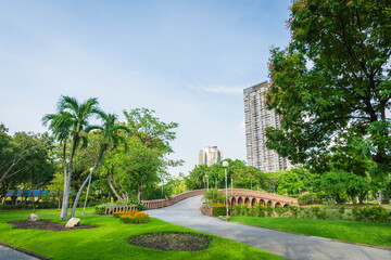 Beautiful park scene in public park