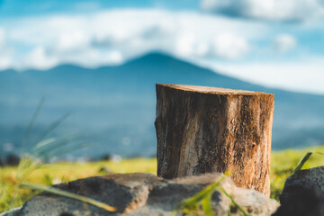 wooden log