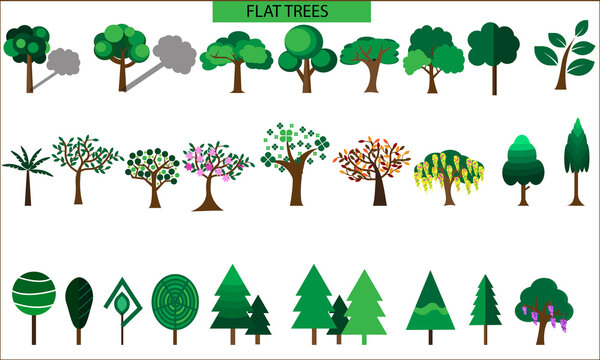 Collection of Trees Vector