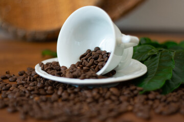 coffee