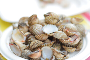 Scallop shells that are eaten on a plate