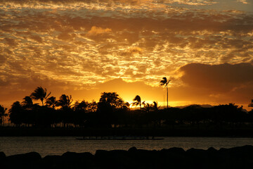 Obraz premium ハワイ、ワイキキ