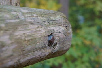 close up of wooden park railing