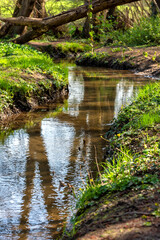 Fototapeta na wymiar Stream running through Cuckoo woods at Sandling in Maidstone, Kent, England
