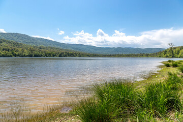 Fototapeta na wymiar lake in the summer