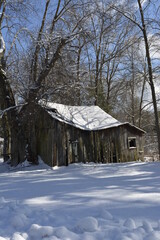 Shed in the Snow