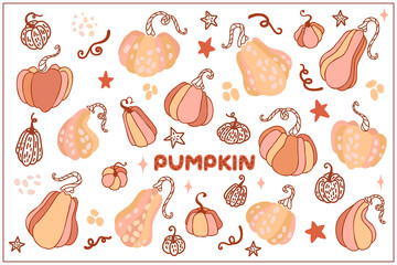 Autumn Pumpkin. Fall Floral colors doodle set, vector flat hand drawn elements. 