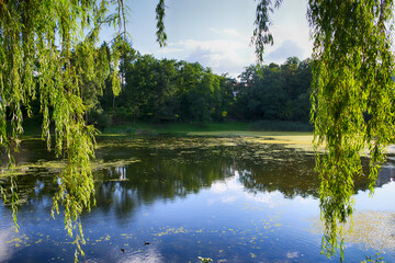 Beautiful lake in the city park in the autumn season