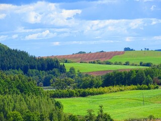 Obraz premium rural view of green meadows in the hills