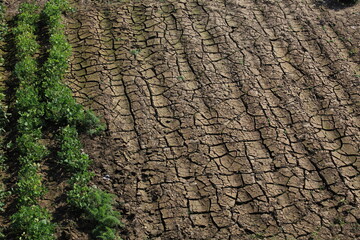 Cracked brown ground and green fields