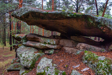 stone wall in the forest