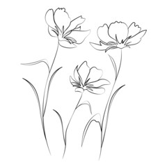 Wildflowers, outline floral design elements isolated on white background. Hand drawn flowers, buds and leaves.
