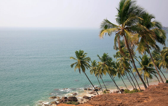 Coconut trees over the sea on the beach of Cabo de Rama in Goa India
