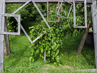 A wooden construction that consist from a lot of empty photo frames attached from a big one. The frame is placed in the garden. green environment, summer time.