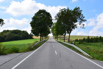 leere steile Allee in der Eifel