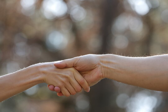 Handshake two people on the nature background. Close Up of female and male holding hands. Holding hands is a form of physical intimacy involving two or more people. It may or may not be romantic.