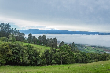 Finca la Argelina, Cartago, Costa Rica