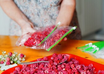 An elderly woman is hands display fresh raspberries in plastic bags, prepared for storage.