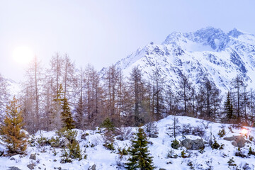Fototapeta na wymiar Winter mountain landscape in Alps with aerial panoramic view with beautiful snow covered forest hills.
