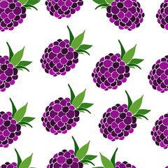 Blackberry seamless pattern