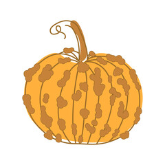 orange pumpkin with pimples brown outline in doodle style isolate on white background