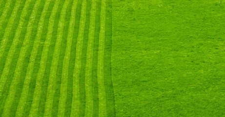 Stripes running across a lawn which is in the process of being cut. No people. Copy space.