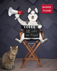 A dog husky director sits on a high wooden chair and holds a megaphone and a clapperboard.