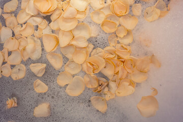Beige rose petals and soap bubbles texture. Bath