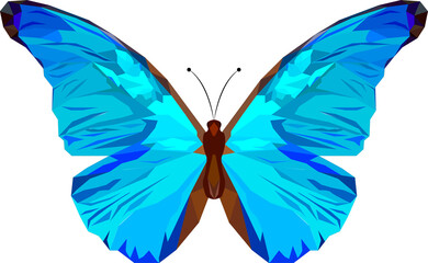 Low Poly Butterfly 1