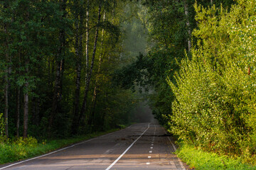 Obraz premium road in the green forest and fog