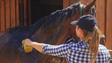 a young girl near a barn fish a brown horse with a sponge in her hand. High-quality photo © CameraCraft