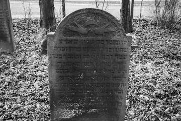 stary cmentarz żydowski  - obrazy, fototapety, plakaty