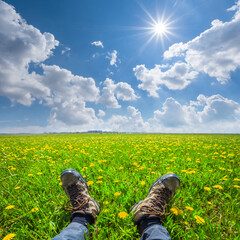 closeup hikers feet in prairie with dandelion flowers, natural travel  background