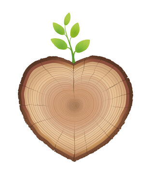 Tree slice, heart shaped, with young sprout growing out of it - wood trunk with green sprig - symbol for loving nature and growth. Vector illustration on white background. 
