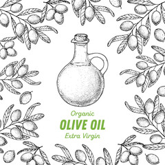 Olive branch, oil jug sketch. Hand drawn vector illustration. Design template. Healthy food illustration. Olive oil frame.