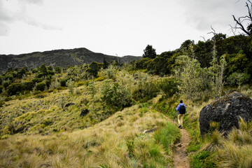 Fototapeta premium hiking in the mountains