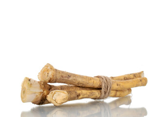 Several spicy horseradish roots, close-up, isolated on white.