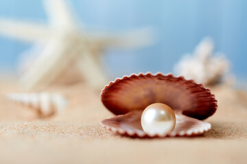 beach white sand with pearl in clam shell