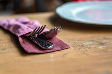 Cutlery with two forks in a rag case of magnet color