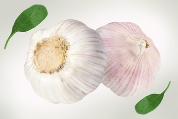 Fresh garlic on a pale gray background. Garlic in the air or falling