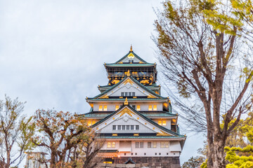Osaka, Japan castle grounds park in evening with famous historic fortress building illuminated at night evening and cloudy sky and trees